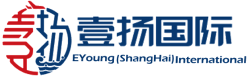 壹扬国际